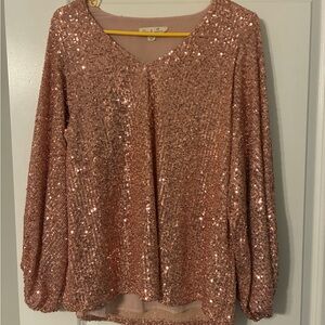 Vine & Love Rose Gold Sequin V-Neck Long Sleeve Top
